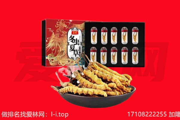 云县回收虫草.jpg